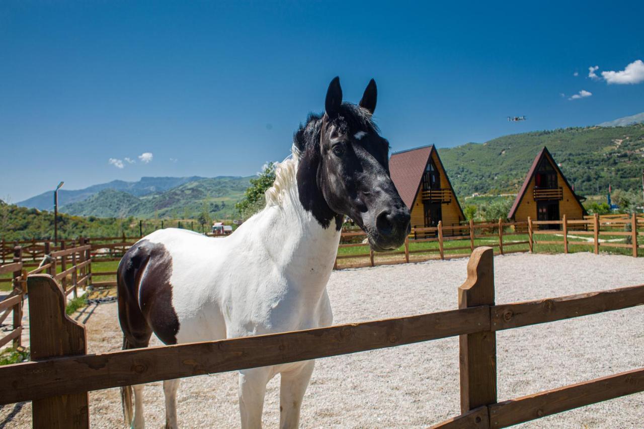 Sancho Farm Albania Villa Memaliaj Luaran gambar