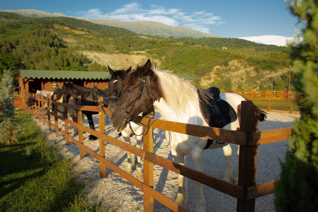 Sancho Farm Albania Villa Memaliaj Luaran gambar