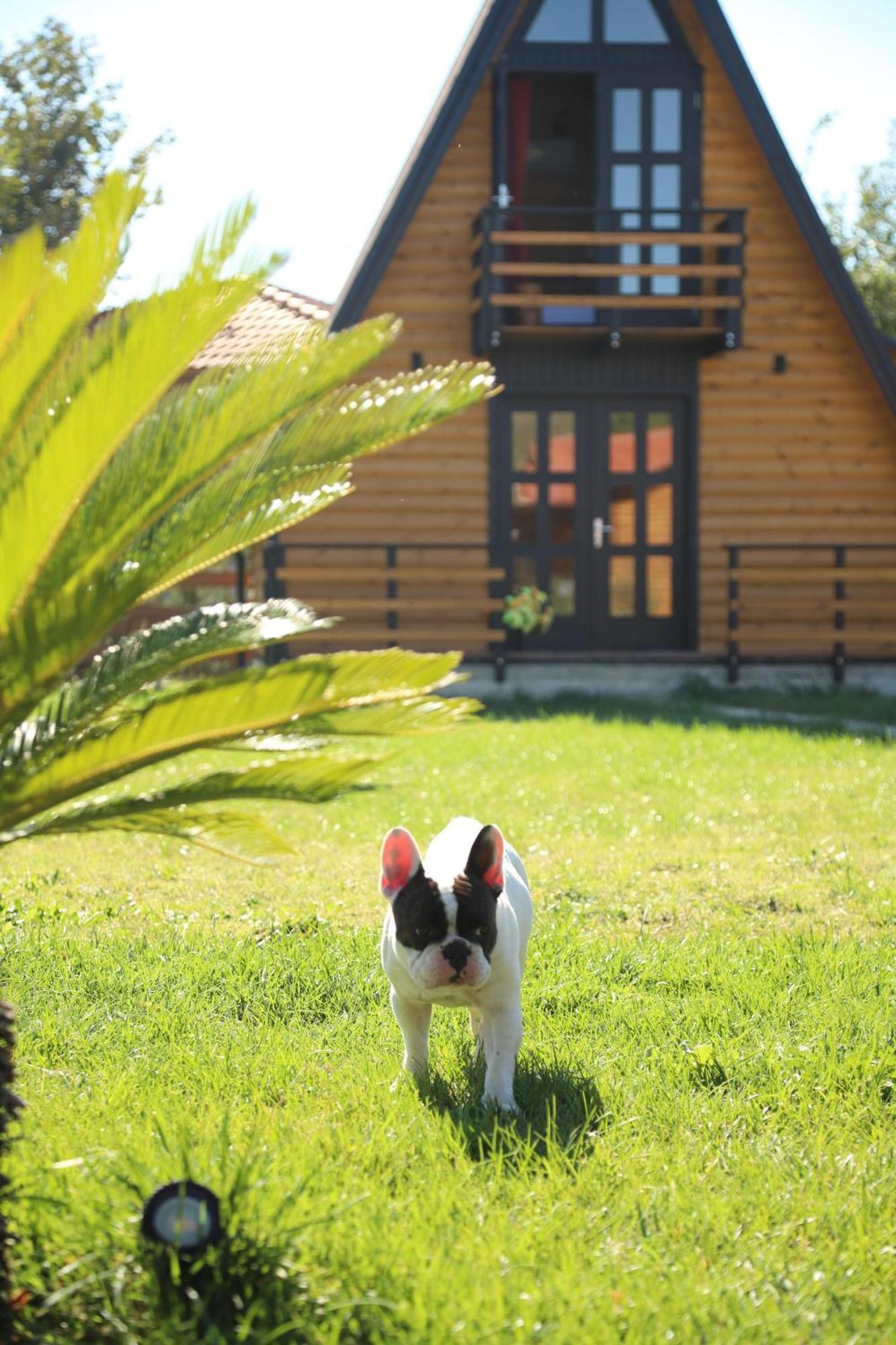 Sancho Farm Albania Villa Memaliaj Luaran gambar