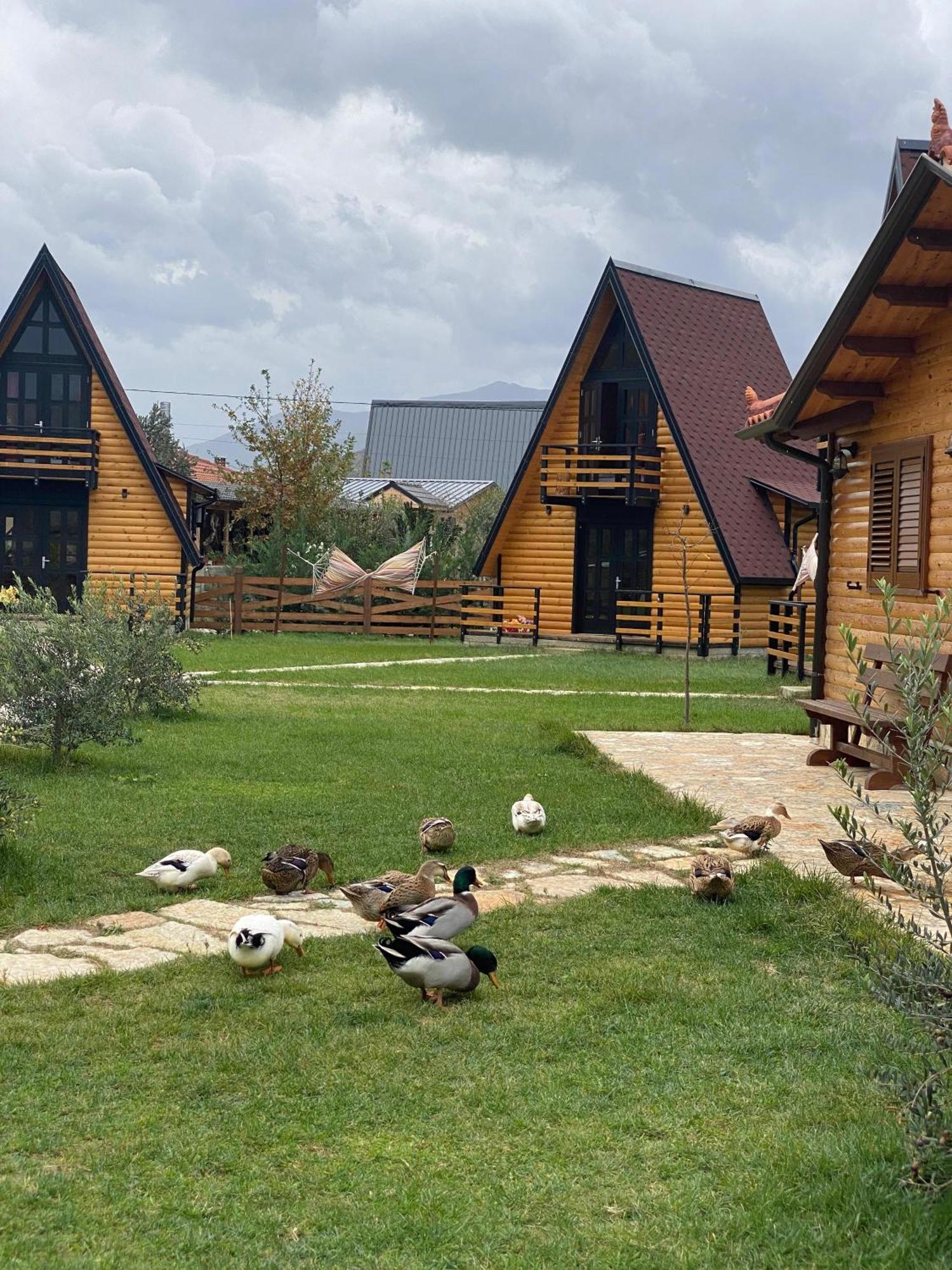 Sancho Farm Albania Villa Memaliaj Luaran gambar