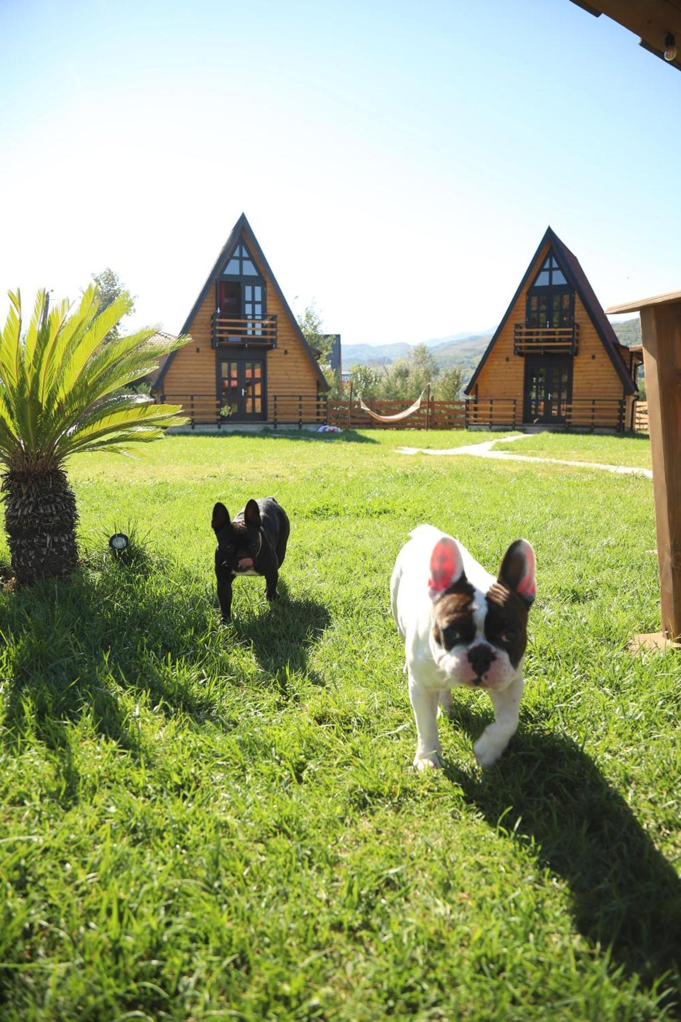 Sancho Farm Albania Villa Memaliaj Luaran gambar