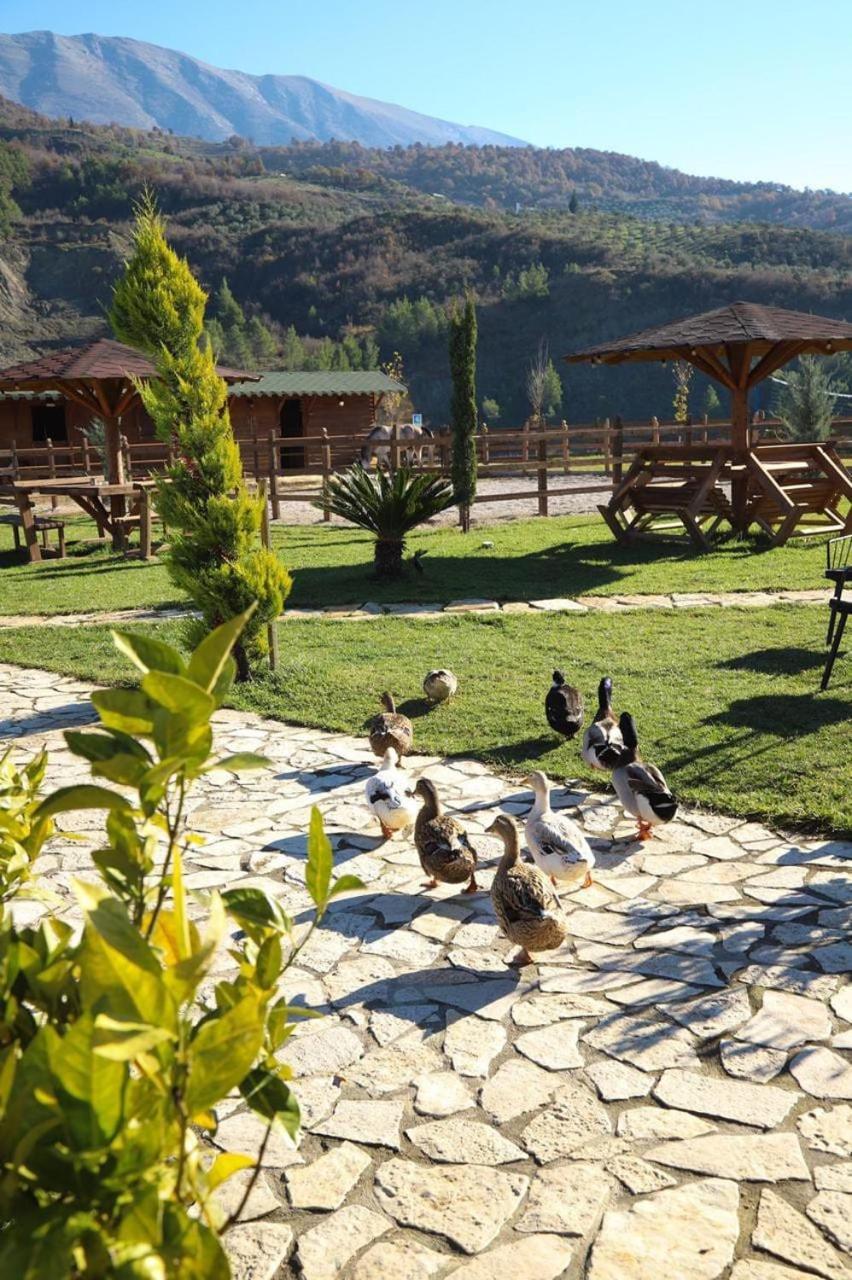 Sancho Farm Albania Villa Memaliaj Luaran gambar