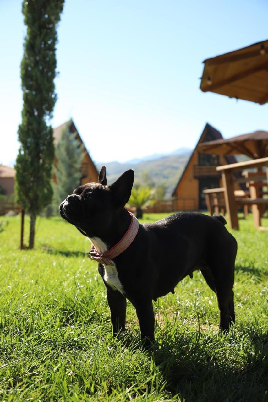 Sancho Farm Albania Villa Memaliaj Luaran gambar